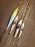 釣魚(yú)王魚(yú)漂高靈敏納米浮漂加粗醒目鯽魚(yú)漂防風(fēng)浪抗走水立式浮漂 瘋影納米浮漂FYN04-2 曬單實(shí)拍圖