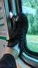 匡威（Converse）官方 All Star男女帆布低幫休閑運(yùn)動(dòng)鞋海軍藍(lán)102329 1Z635/黑色 41.5 曬單實(shí)拍圖
