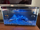 小米智能魚(yú)缸客廳辦公室桌面米家魚(yú)缸造景套裝遠程喂食超白玻璃生態(tài)缸 天然青龍石套裝（不含魚(yú)缸） 曬單實(shí)拍圖