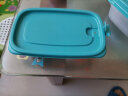 茶花（CHAHUA）塑料冰箱保鲜盒家用冷冻水果蔬菜专用收纳盒食品级冰箱收纳盒 蓝色3个装-830ML长方形 实拍图