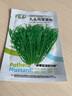 大禹秋天可以種的菜種子大全八九月秋冬季耐寒蔬菜籽家庭種植四季種 雪里蕻種子 10g 曬單實(shí)拍圖