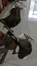 蓒鷸仿真小鳥(niǎo)小麻雀夾子款泡沫羽毛小鳥(niǎo)假鳥(niǎo)田園樹(shù)枝庭院中式鄉(xiāng)村裝飾 6個(gè)花色仿真鸚鵡各一只 曬單實(shí)拍圖