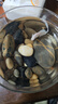 【泰國進口精品斗魚】觀賞魚苗金魚熱帶好養(yǎng)耐活體淡水半月婚紗魚 SS級*粉白象耳下單送魚食 曬單實拍圖