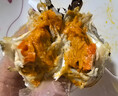 【活蟹】水淼鮮 洪湖大閘蟹鮮活螃蟹生鮮現貨海鮮水產(chǎn)中秋禮品 公3.7-4.0兩 母2.7-3.0兩 5對裝 曬單實(shí)拍圖