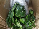 御卉閣 蟹爪蘭盆栽花苗綠植花卉室內陽(yáng)臺辦公室客廳擺放四季開(kāi)花植物  蟹爪蘭玫紅色一盆20棵左右 曬單實(shí)拍圖