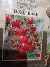 壽禾 圣女果種子小西紅柿小番茄大全溫室大棚秋冬四季種菜蔬菜壽光菜 紅美玉圣女果種子60粒（20粒3包 曬單實(shí)拍圖