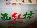 靜益樂(lè )源西紅柿 四川露天攀枝花米易沙瓤西紅柿 新鮮蔬菜 5斤 裝單果80g+ 曬單實(shí)拍圖