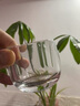 OQB水晶杯原礦石雙層白水晶手工打磨水晶茶杯扳指水杯主人杯男士 扳指杯一個(gè)裝 80ml 曬單實(shí)拍圖