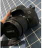 佳能（Canon）佳能750D 77D EOS 750D 77D 入門級 單反 旅游拍照 全新店保5年 佳能750D單機身 官方標配 曬單實拍圖