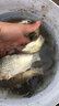 富源百川帝道秦鯽魚竿37超輕超細(xì)28調(diào)19臺(tái)釣竿高碳魚桿手桿野釣鯽魚桿綜合 3.6m 秦鯽超輕28調(diào) 曬單實(shí)拍圖