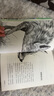 【全系列36冊可選】動(dòng)物小說(shuō)大王 沈石溪品藏書(shū)系 全套36冊可選 三四五年級課外閱讀推薦 兒童讀物 【9】一只獵雕的遭遇 曬單實(shí)拍圖