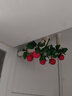 雅璇 仿真蔬菜水果藤條裝飾綠葉藤條塑料藤蔓壁掛3d彩印實(shí)心果子 蘋(píng)果 曬單實(shí)拍圖