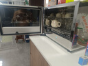 德瑪仕（DEMASHI）茶杯消毒柜 小型臺(tái)式辦公室茶具消毒柜會(huì)議室前臺(tái)茶水間水杯子紫外線熱風(fēng)消毒 烘干一體機(jī) 【熱銷款】會(huì)議室款 | 二星紫外線 | 20個(gè)茶杯 曬單實(shí)拍圖