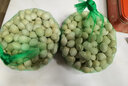 蔬果哆 【25秋新果】山東郯城銀杏果 白果 1000g 兩斤 老樹(shù)白果 曬單實(shí)拍圖
