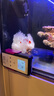 興國海（Singoseafarm）小丑魚活體魚 人工公子小丑活體海水魚 寵物觀賞魚快遞包活興國海 人工公子配對4-6cm 曬單實(shí)拍圖