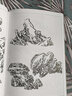百石圖譜 嶺南美術(shù)出版社 陳金章 著 著 書(shū)籍 曬單實(shí)拍圖