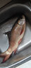 天雕蘆葦浮漂大物遠釣投加粗醒目尾青魚草魚鰱鱅湖庫大浮力魚漂 景鯛JD03 單支蘆葦管裝 曬單實拍圖