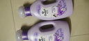 金紡衣物柔順劑 瓶裝 柔軟留香 清新柔順 薰衣草 淡雅櫻花 純凈溫和 怡神薰衣草 1kg*2瓶 金紡 曬單實(shí)拍圖