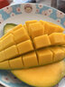 甘賢（GANXIAN）海南澳芒【順豐速運】新鮮現摘 禮盒包裝 汁多香甜熱帶水果大芒果 10斤禮盒裝(凈重8斤) 曬單實(shí)拍圖