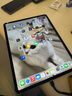 Apple 蘋(píng)果平板電腦iPad Pro 12.9寸 4代 2020款 二手平板電腦 灰色 128G 曬單實(shí)拍圖
