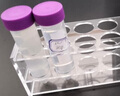 比克曼生物 塑料離心管50ml一次性EP管PCR管帶刻度試管樣品管連蓋螺旋蓋尖底圓底實(shí)驗(yàn)室用 2ml翻蓋尖底  (無菌無酶無熱原) 曬單實(shí)拍圖