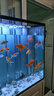 森森（SUNSUN）魚缸過濾器外置水族箱過濾桶 HW303B(無濾材 適合1-1.2米的魚缸) 曬單實拍圖