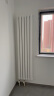 圣劳伦斯暖气片家用水暖壁挂式集中散热自采暖定制钢制水暖气片柱式大水道 钢制60C(新60)单片宽 60mm 高1800mm 晒单实拍图