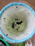 爆豬泡騰片洗衣服洗衣機(jī)鞋子活氧除垢泡泡片綿密泡沫去黃殺菌去污垢片 1盒【一泡去黃】 曬單實(shí)拍圖