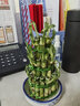 泰西絲竹塔富貴竹節節高水培植物客廳花卉綠植室內水養竹子盆栽 3層竹塔【底部5左右】_含盆 曬單實(shí)拍圖