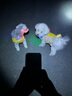 TOUCHDOG它它寵物項圈發(fā)光幻彩狗脖圈夜光LED出行防走丟失牽引繩 日出幻彩脖圈發(fā)光版 S碼建議【5-20斤】 曬單實拍圖
