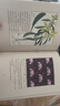 后浪復古藝術館系列·萬物有文：新藝術植物裝飾 曬單實拍圖