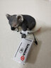 思樂(lè )（Schleich S）仿真野生動(dòng)物模型袋鼠河馬犀牛小熊貓灰熊猩猩兒童玩具生日禮物3+ 考拉14815 曬單實(shí)拍圖