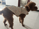 MIKI PAD狗狗衣服夏天寵物馬甲小型犬比熊泰迪雪納瑞可牽引薄款背心春季綠色格子背心【可牽引】L胸圍47cm（建議8.5-12斤） 曬單實(shí)拍圖