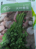 壽禾 黃心菜油菜種子玫瑰烏塌菜白菜菜籽菜子蔬菜秋冬季黑菜種籽 壽禾雪玲瓏黃心烏種子20g原裝 曬單實拍圖