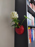 壁掛花盆創(chuàng  )意墻上壁掛綠蘿水培器皿花瓶水養植物花盆懸掛式插花花 壁掛-荷韻(紅色) 曬單實(shí)拍圖