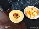 新疆哈蜜瓜西州蜜 新鮮水果蜜瓜甜瓜整箱 產(chǎn)地現摘發(fā)京順 【陸運】10-11斤（2-3個(gè)） 曬單實(shí)拍圖