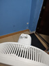 美的（Midea） 電風(fēng)扇 家用風(fēng)扇7葉落地扇立式輕音節能大風(fēng)量電扇臺扇迷你扇臺立兩用轉頁(yè)扇空氣循環(huán)扇安靜低音 店長(cháng)推薦丨7葉勁風(fēng) 百萬(wàn)單品 家用落地扇 曬單實(shí)拍圖