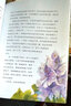 昆蟲記美文美繪版（科學(xué)素養(yǎng)與審美教育讀本）（套裝共4冊） 曬單實(shí)拍圖