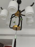 圣伦希尔（SELLEN HILL）新中式吊灯卧室大气餐厅荷花家用书房现代简约全屋套餐复古客厅灯 8头-三色变光 实拍图