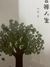 能海上師傳 曬單實拍圖