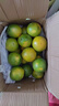 夢(mèng)茜兒 奉節(jié)紐荷爾臍橙 新鮮9斤正宗手剝橙子重慶無(wú)渣蜂蜜橙冰糖水果 5斤【70-80mm大果】 現(xiàn)貨速發(fā) 新鮮現(xiàn)摘 曬單實(shí)拍圖