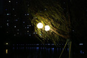 佳能5D3 EOS 5D Mark III  全畫(huà)幅高清單反相機(jī)  高端專業(yè)數(shù)碼視頻 5D3+24-105 F4 USM 2代紅圈鏡頭 官方標(biāo)配 曬單實(shí)拍圖