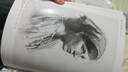 名家經(jīng)典素描冉茂芹（2） 曬單實(shí)拍圖