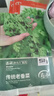 壽禾老香菜籽種子苗秋季老品種蔬菜菜籽 濰育傳統(tǒng)老香菜種子100g*3袋 曬單實拍圖