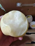 裕瓊連州廣東水晶梨潭嶺清遠脆冠梨子現(xiàn)摘無渣黃花梨當季新鮮水果 5斤精品中果【現(xiàn)摘現(xiàn)發(fā)】 曬單實拍圖