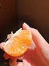 栩季（XUJI）澳洲2ph橘子網(wǎng)紅澳柑新鮮當(dāng)季蜜桔鳳凰柑甜桔子水果孕婦 3斤【特級(jí)果+超甜爆汁】 曬單實(shí)拍圖