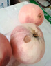 京滿(mǎn)隆北京大桃 新鮮水蜜桃當季孕婦水果脆甜大毛桃整箱送禮水果禮盒 精選大桃5斤【無(wú)禮盒】 曬單實(shí)拍圖