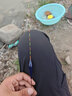 阿盧H37高靈敏度鯉魚漂黑坑搶魚野釣細(xì)尾醒目浮漂納米行程浮標(biāo)漁漂 LPH37（細(xì)硬尾17目） 3號(hào)(吃鉛約2.91克) 曬單實(shí)拍圖