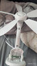 揚子小風(fēng)扇夾扇強風(fēng)宿舍家用學(xué)生床頭夾子式電風(fēng)扇辦公室臺式迷你小電扇有遙控定時(shí) 【標配5葉款】標配款 曬單實(shí)拍圖