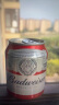 百威金尊拉格啤酒单一品种麦芽500ml*18听啤酒整箱装 实拍图